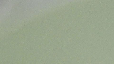 Miss Venezuela 2017, Sthefany Gutiérrez.