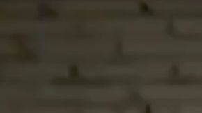 VIDEO: Grupo Élite del CJNG así interrogó a policías antes de descuartizarlos