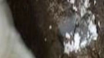 VIDEO: Narcotúnel estilo Chapo Guzmán es hallado por Patrulla Fronteriza en Arizona