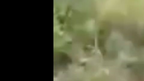 VIDEO: Queman vivos a 2 jóvenes, Cártel del Golfo y los Metros se adjudican crimen