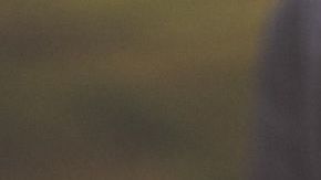 Esta selección de alimentos se destaca por su grandiosa acción diurética, su poder antioxidante y desinflamatorio.