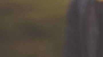 Esta selección de alimentos se destaca por su grandiosa acción diurética, su poder antioxidante y desinflamatorio.