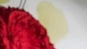 Yanet García, la chica del clima, del programa "Hoy"