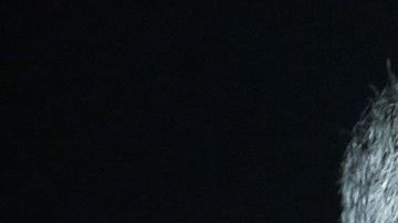 El general iraní Qasem Soleimani.