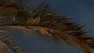 Trump ordenó matar a Qasem Soleimani para “disuadir futuros planes de agresión de Irán”.