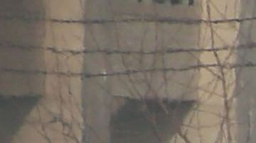 Iraníes protestan contra los ataques de EEUU a sus nacionales en Irak.