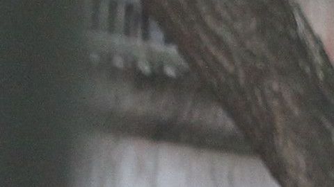 Trabajadores de delivery.