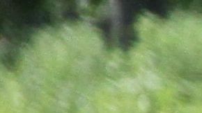 Calor en Nueva York.