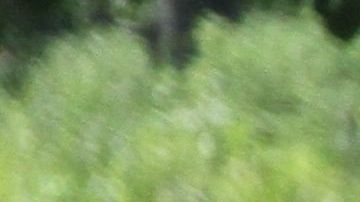 Calor en Nueva York.