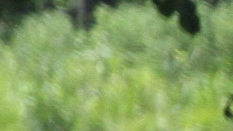 Calor en Nueva York.