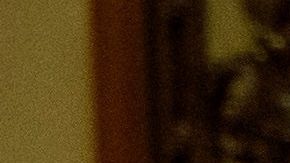 El juicio político contra Trump será más rápido que el de Bill Clinton.