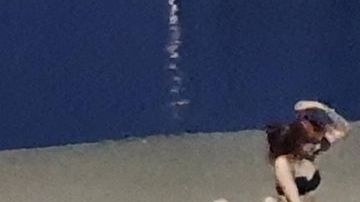 Un residente los grabó y compartió el video en Internet.