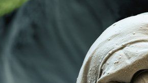 Los tardígrados pueden sobrevivir a altísimas y bajísimas temperaturas.