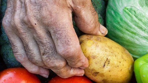 Adelgaza de manera saludable y natural integrando el consumo de estos poderosos alimentos en tu dieta diaria.