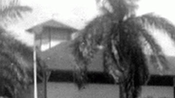 La Zona del Canal tenía muchas áreas de ocio.