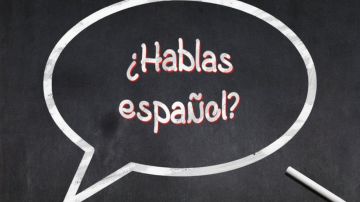 ¿Qué palabras o expresiones en español usan los hablantes del inglés en Estados Unidos?