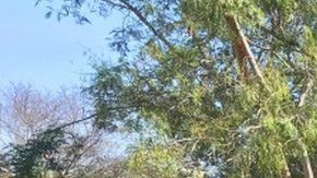 Los niños sufren condiciones muy precarias en el campamento.