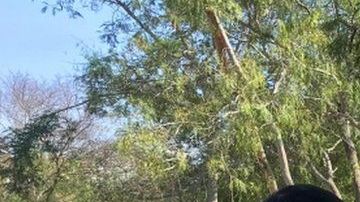 Los niños sufren condiciones muy precarias en el campamento.