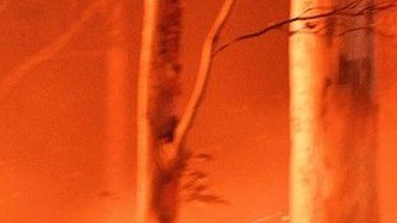 Los incendios provocaron la muerte de al menos 23 personas.