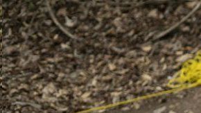 México registra una cifra histórica de desaparecidos y fosas clandestinas.