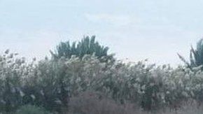 Este fue el ataque más directo de Irán a Estados Unidos desde 1979.