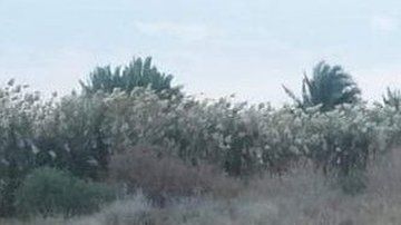 Este fue el ataque más directo de Irán a Estados Unidos desde 1979.