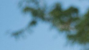 110438695_gettyimages-1059347572