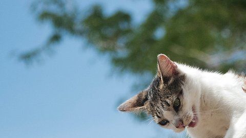 110438695_gettyimages-1059347572