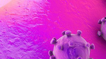 Antes de este, se conocían seis coronavirus que podían infectar al ser humano.