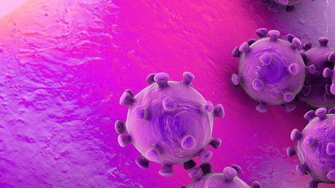 Antes de este, se conocían seis coronavirus que podían infectar al ser humano.