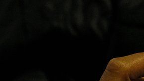 Desde el 31 de enero Uber ya no va a funcionar en Colombia.