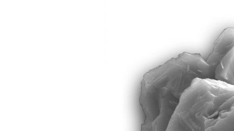 Los investigadores midieron cuánto tiempo estuvieron expuestos a los rayos cósmicos en el espacio.