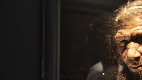 Los nuevos hallazgos arrojan una luz diferente sobre los neandertales.