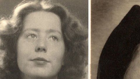 110533792_resistencia_holandesa