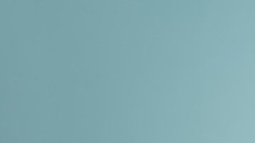 Cada año de vida de un perro no equivale a 7 años humanos, como muchos piensan.