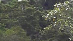 El suceso ocurrió en la región panameña de Ngäbe-Buglé.