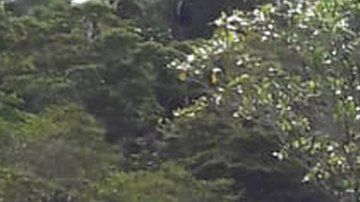 El suceso ocurrió en la región panameña de Ngäbe-Buglé.