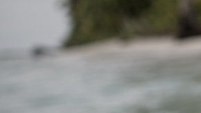 110588733_gettyimages-495745678-5