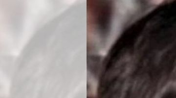 Dámaso López Serrano, el Mini Lic.