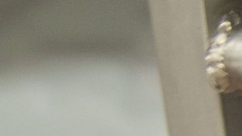 Cadáver. Imagen ilustrativa.