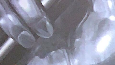 Fonsi, Vives, Wisin y Alejandra Guzmán, los entrenadores de La Voz US