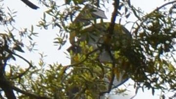 La entrada principal de la base aeronaval en Pensacola.