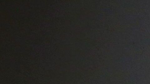 Países como Corea del Sur toman precauciones contra el brote.