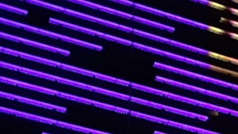 Homenaje anoche en Herald Sq, Manhattan