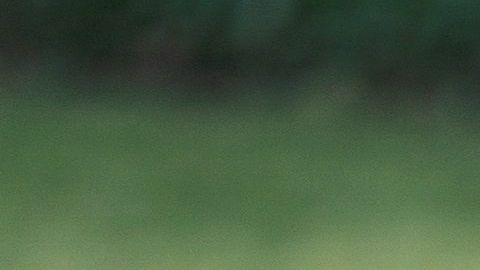 Advirtieron que Trump representa una amenaza para la seguridad nacional.