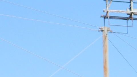 Hace un año que entró en vigor la medida que obliga a los migrantes a esperar en México.