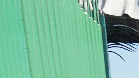 Más de 4,000 personas buscan cruzar México hacia EEUU.