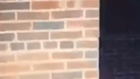 Foto del sospechoso.