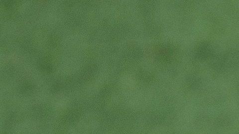 El equipo le rindió un homenaje al basquetbolista.