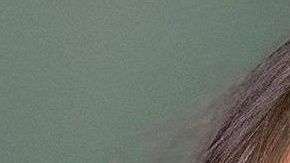 Ana Brenda Contreras.